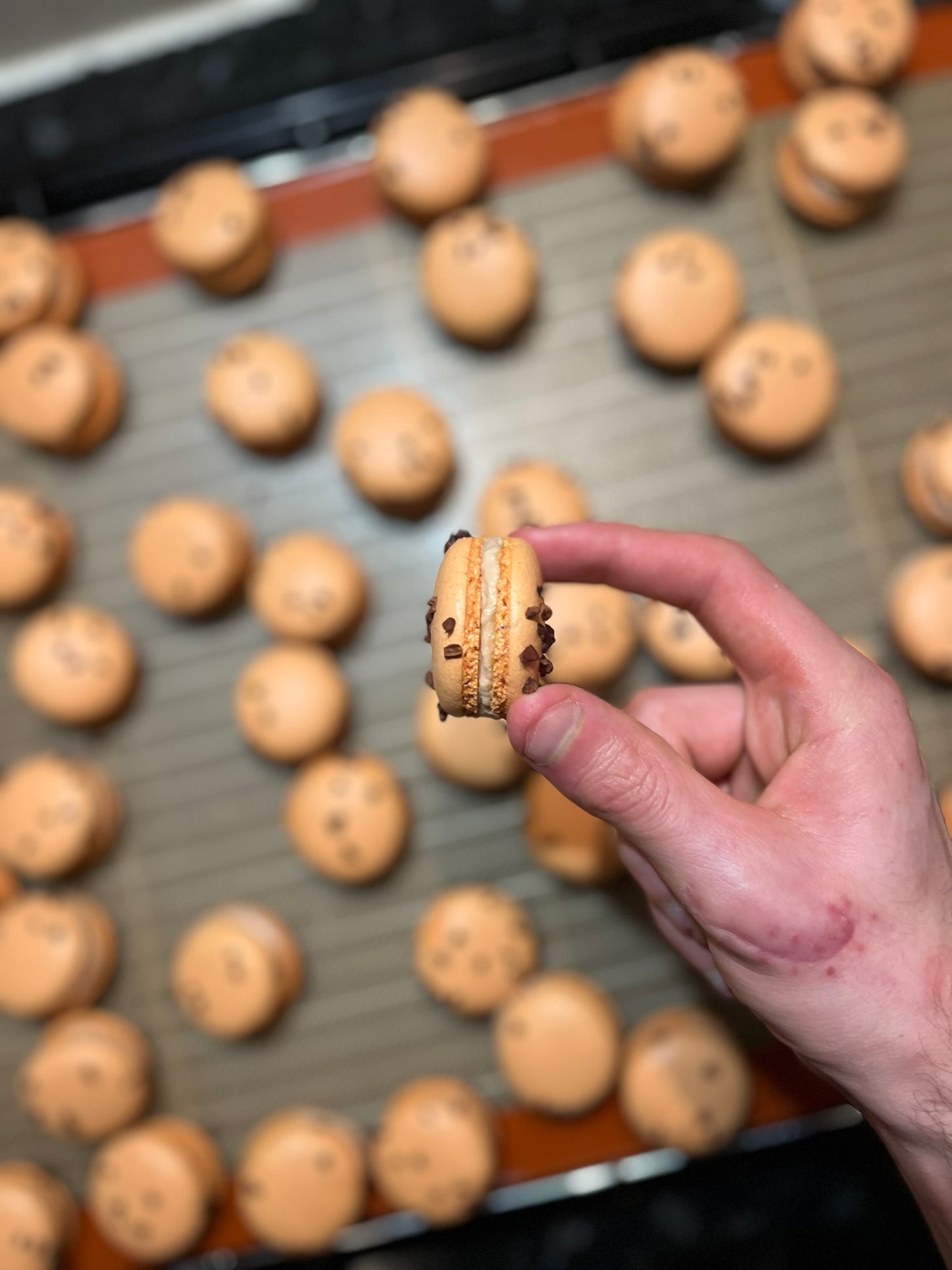 Macarons Caramel